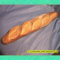 FRESH BAKED NYC Oven Baked Italian Bread 100 loaves (image for) FRESH BAKED NYC Oven Baked Italian Bread 100 loaves