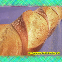 FRESH BAKED NYC Oven Baked Italian Bread 50 loaves (image for) FRESH BAKED NYC Oven Baked Italian Bread 50 loaves