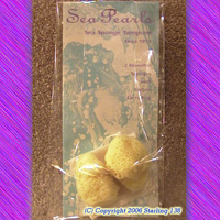 Sea Pearls sea sponge tampons 2 Reusable Sponges (image for) Sea Pearls sea sponge tampons 2 Reusable Sponges